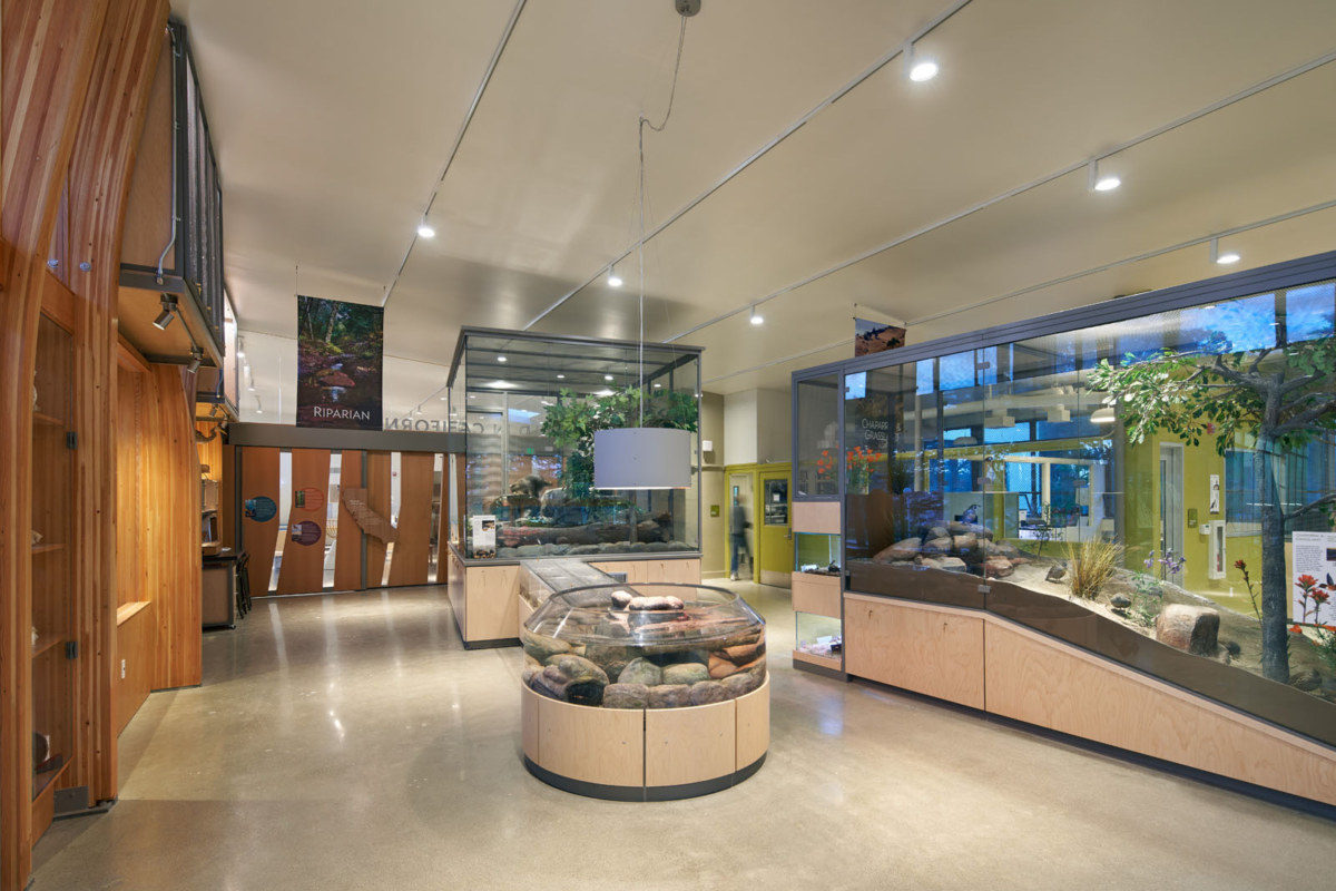 旧金山 Randall 博物馆翻新升级,绿色环保互动体验-16