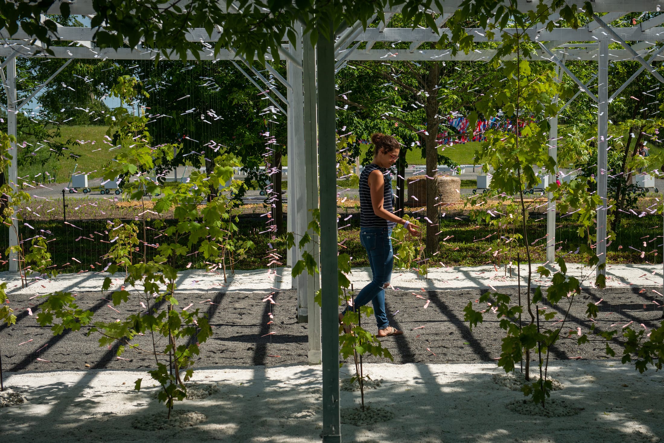 2019 加拿大国际花园节 | 彩色“岩石”结构装置引人入胜-34