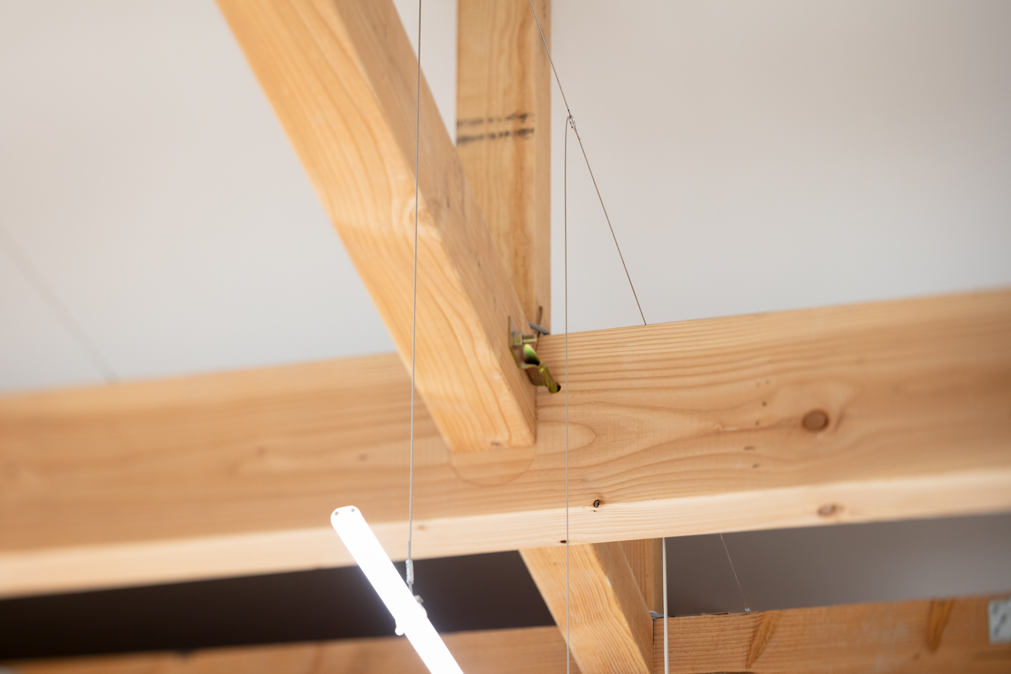 土地;陆地;国土-18