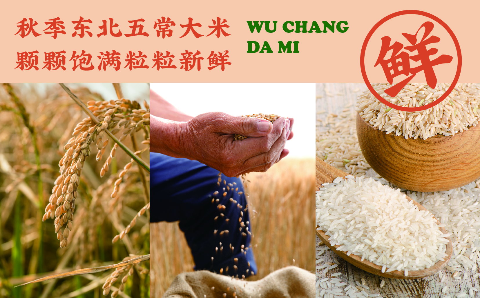 赖老大卤汁剁椒猪脚饭丨中国成都丨贺龙泉-33