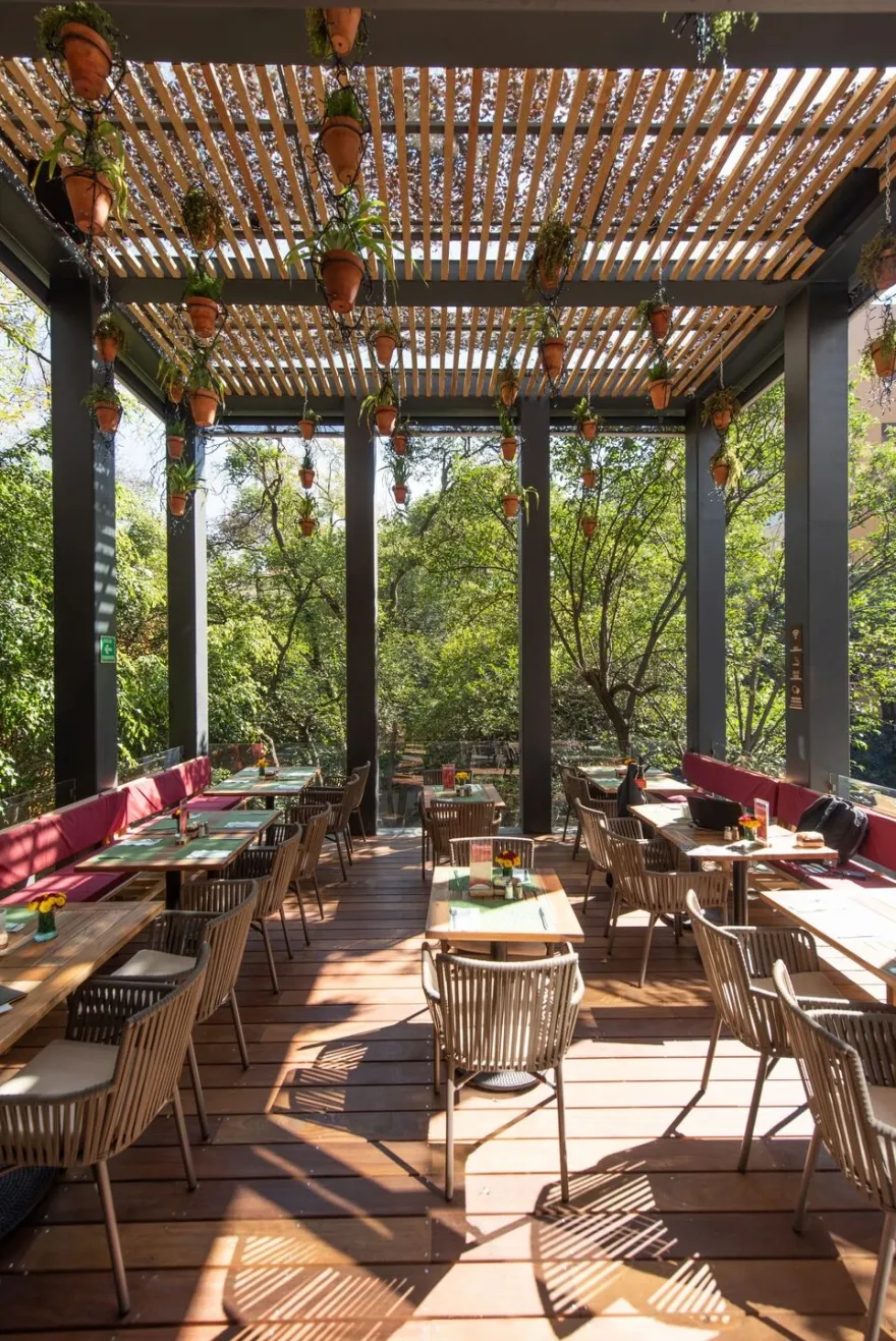 Cafebrería El Péndulo San Ángel-12