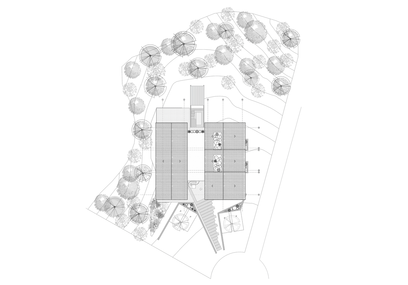 哥伦比亚米尔瓜杜阿斯之家丨哥伦比亚丨ritmo arquitectos-39