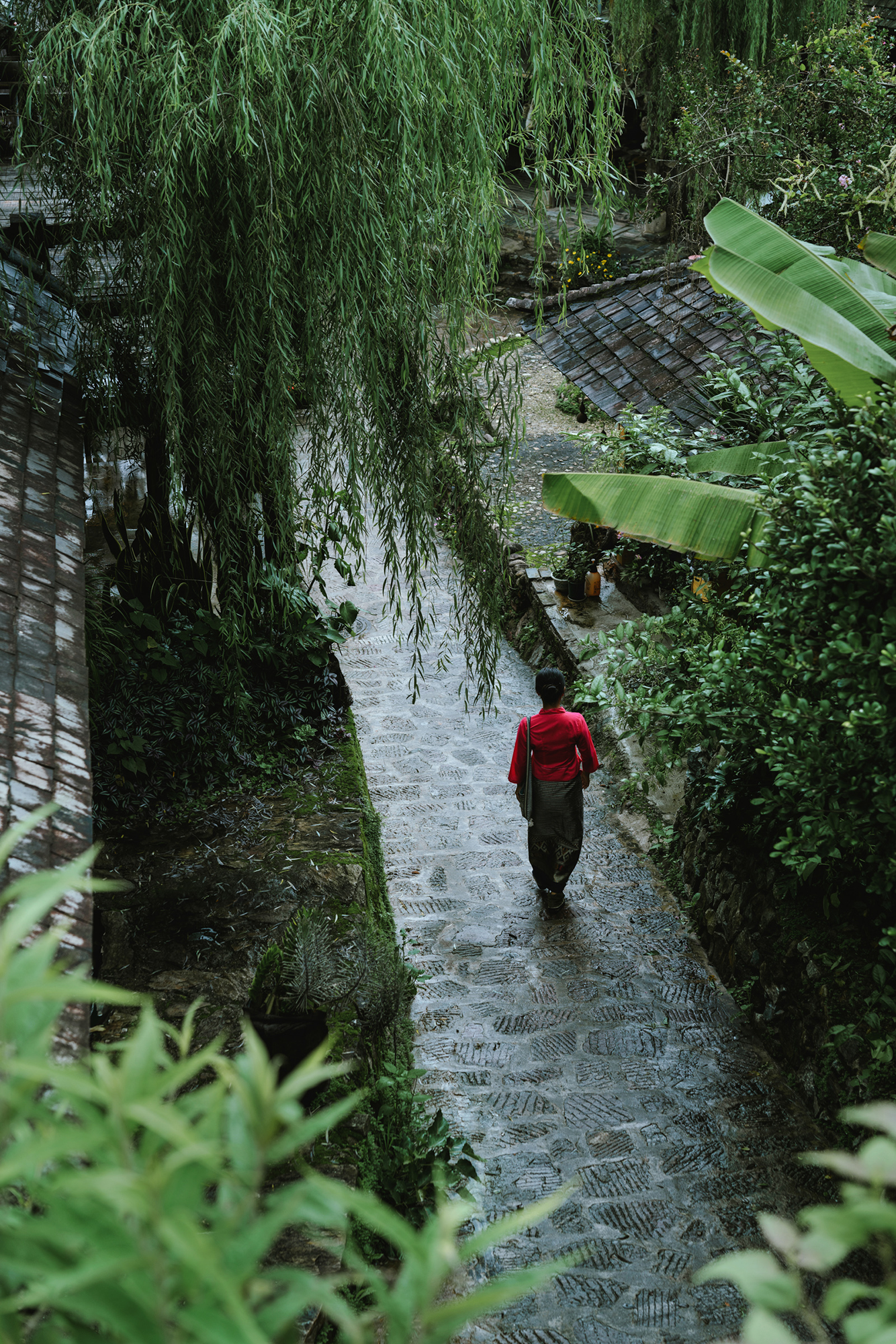景迈山·茶马古窖丨中国云南丨MASA Studio 建筑事务所-30
