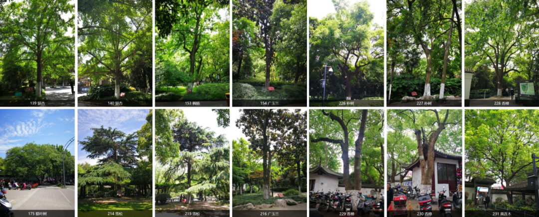 ASLA获奖作品 连接过去和未来的城市绿洲——嘉兴火车站景丨中国嘉兴丨致舍景观-27