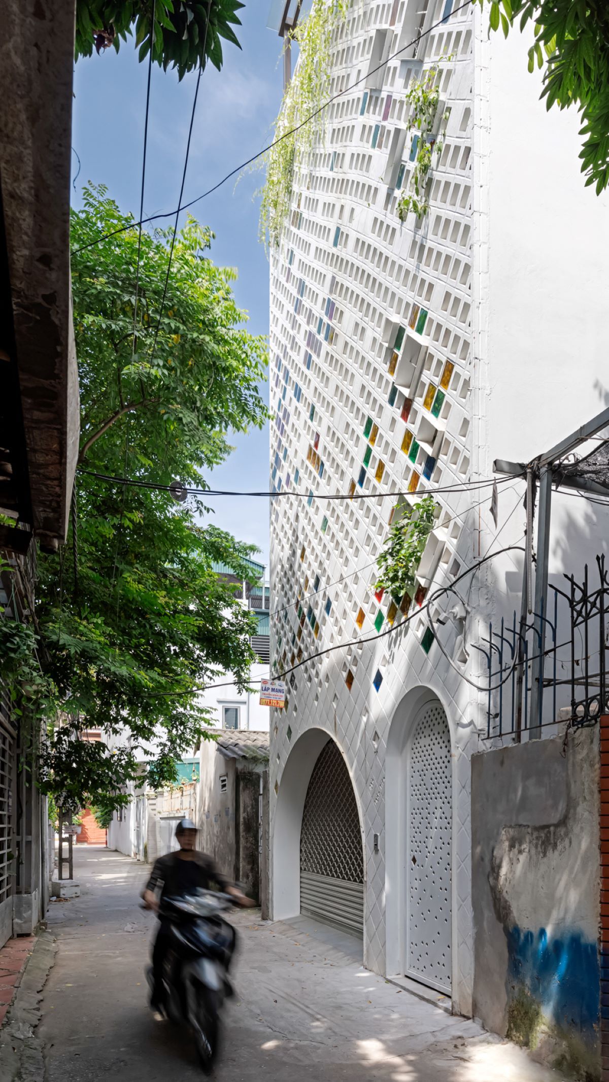 风之谷的绿意之家-12