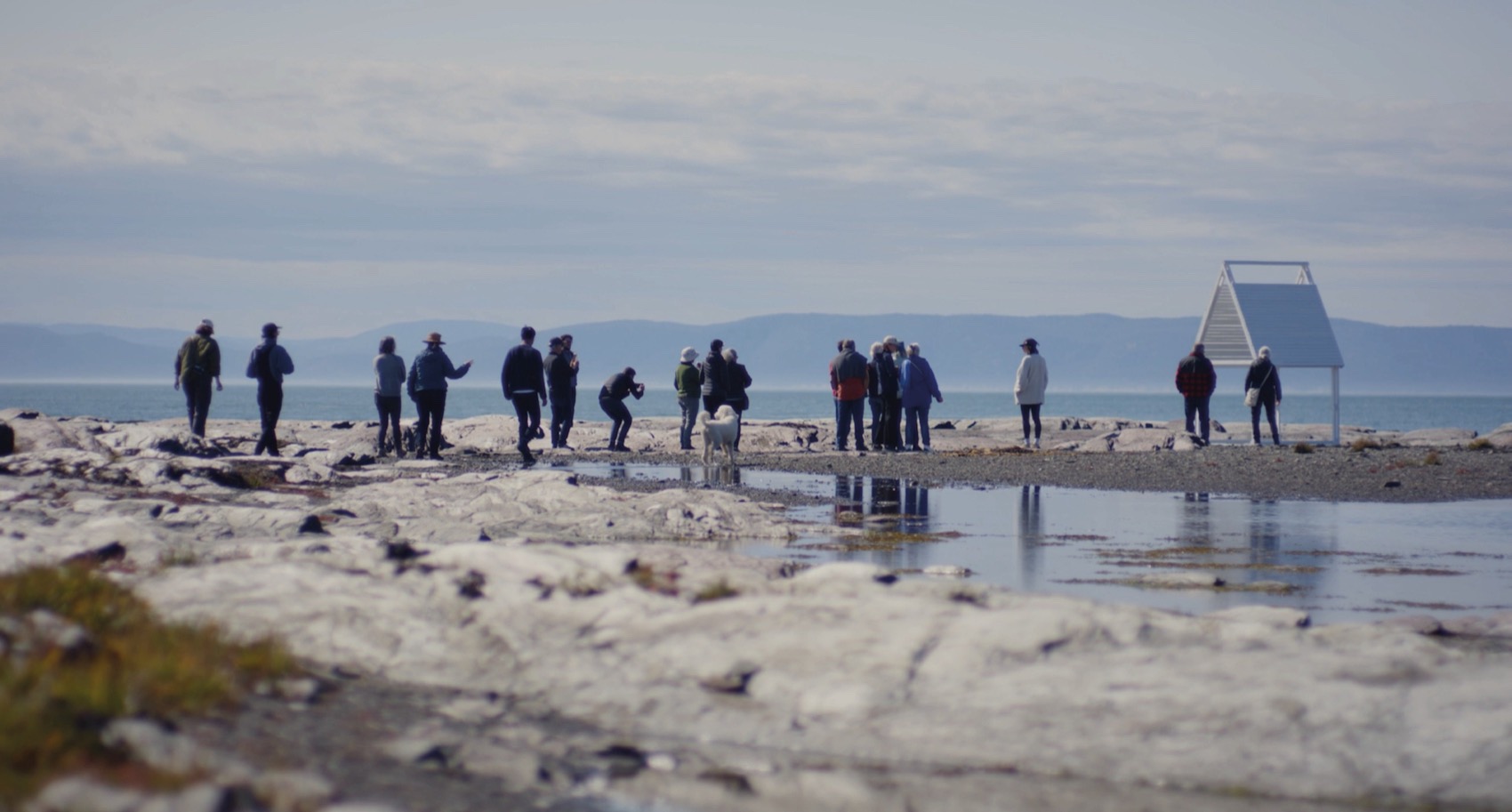 与绿岛居民共创的“烟熏屋”临时装置丨加拿大丨Atelier Pierre Thibault-103
