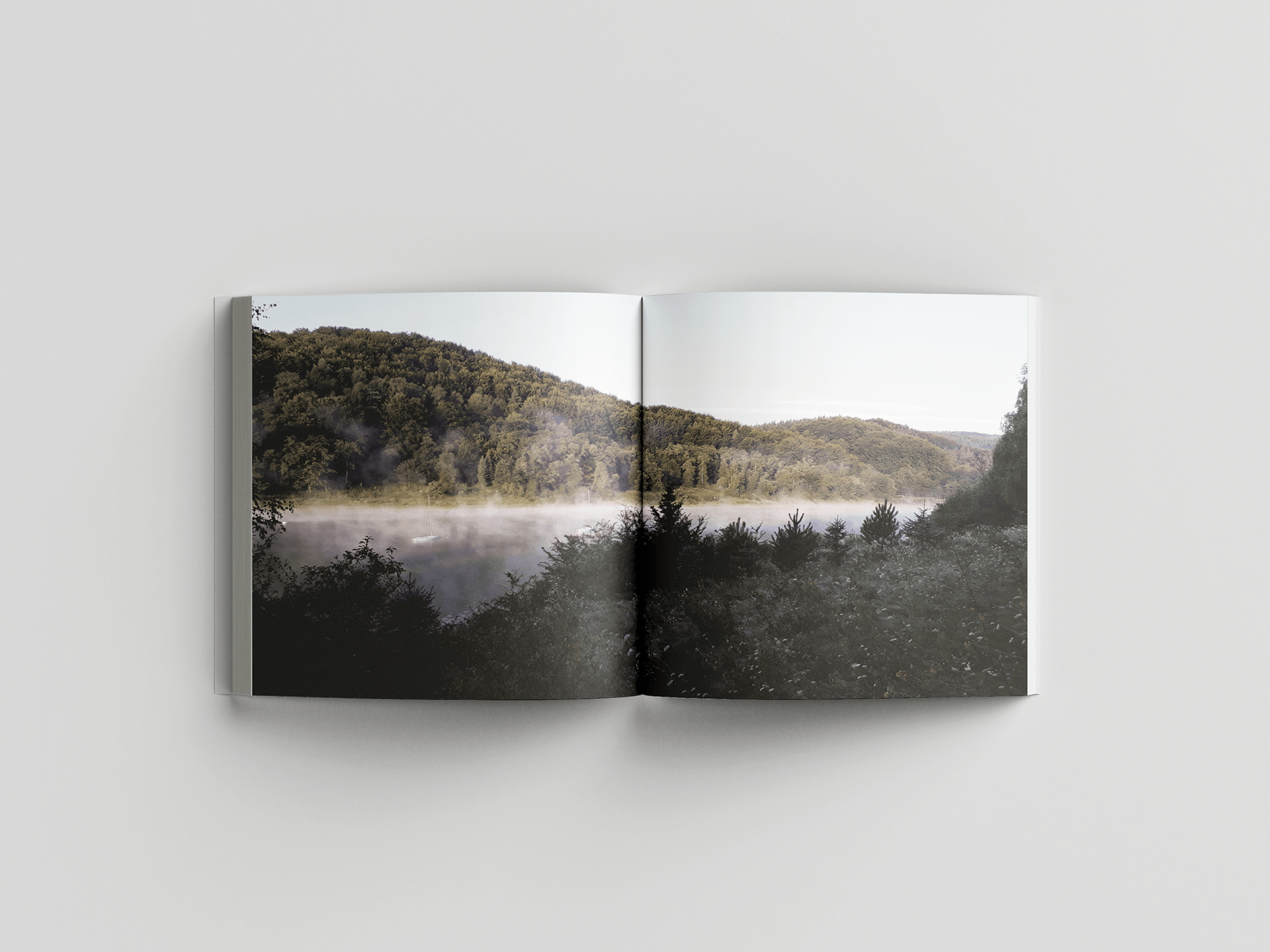 Polańczyk 学生图书丨Natalia Migut 等-10