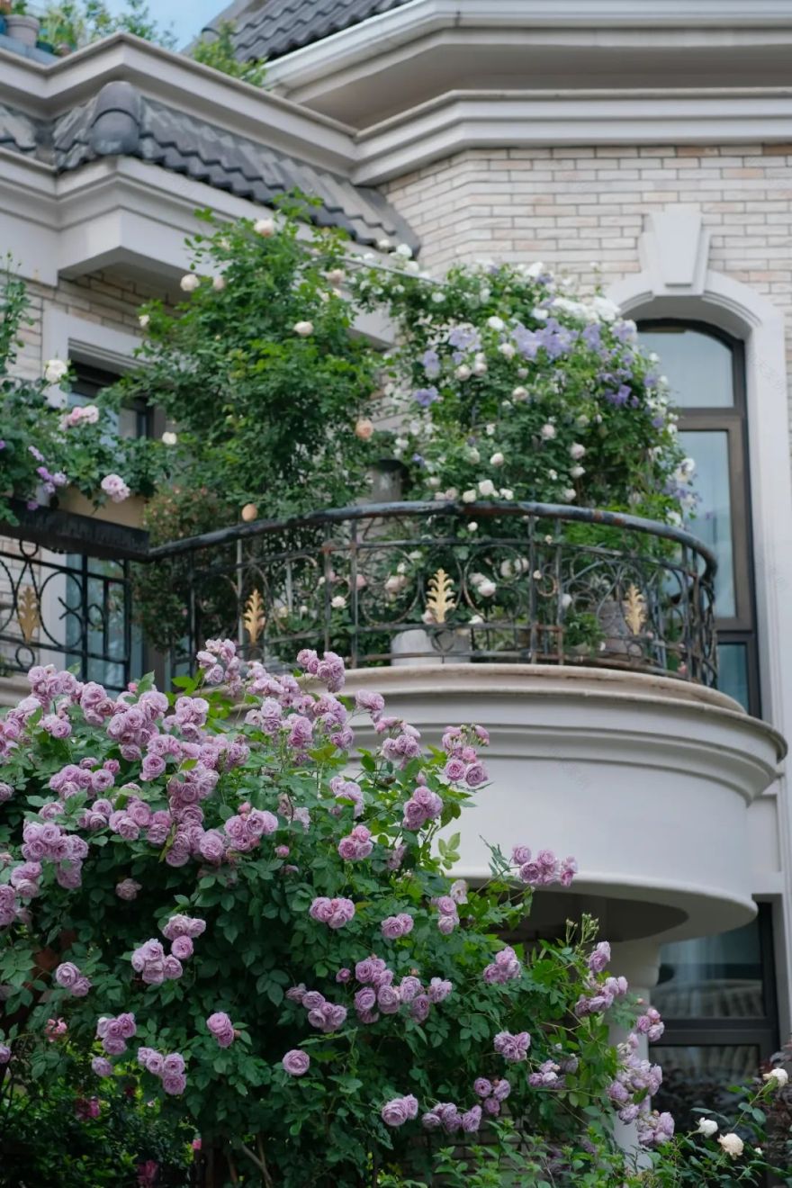 一米花园丨中国上海丨专业设计团队-56