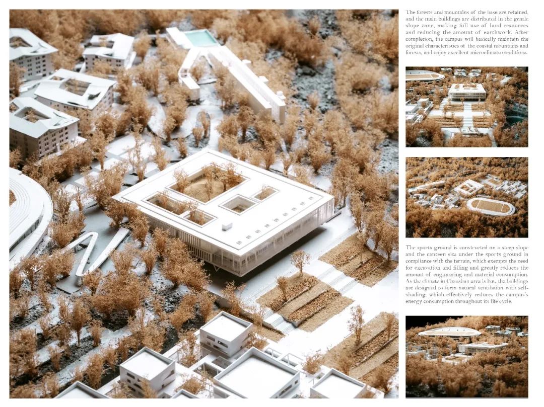 立木设计亮相 UIA2020,分享极致自然与树林漫步的两个新项目-56