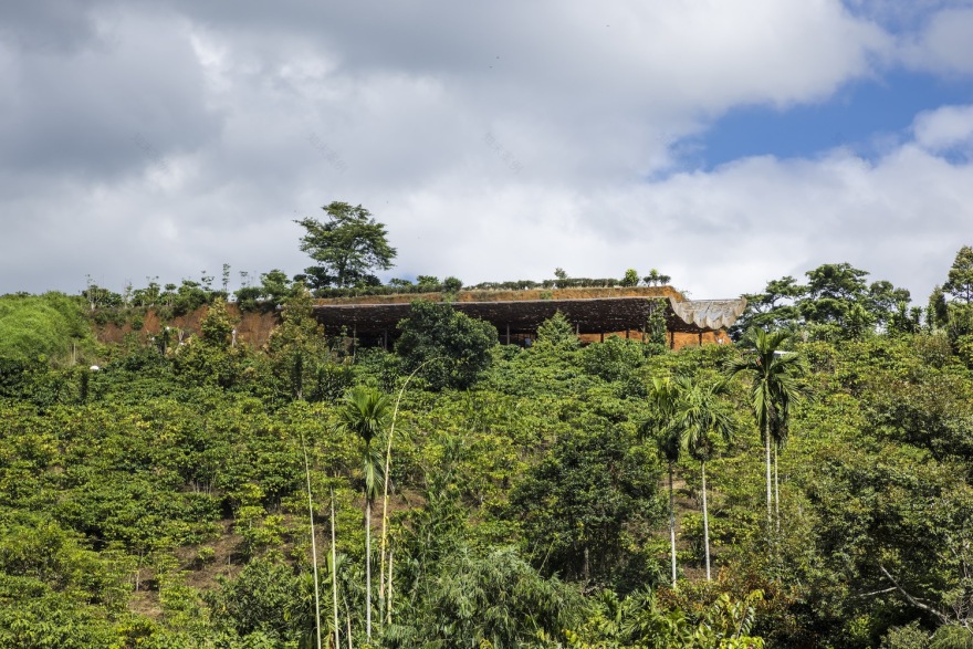 融入自然的宁静咖啡馆丨越南丨The Bloom-35