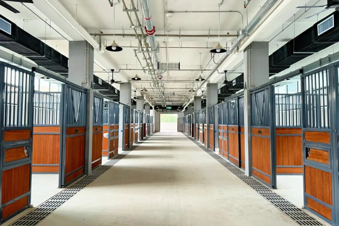 “马”上见！中建八局深圳光明国际马术中心通过竣工验收-89