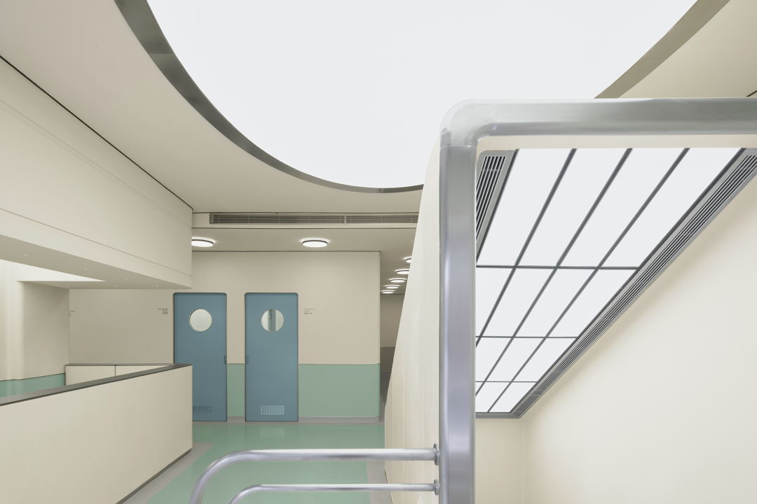 bibu宠物店丨中国广州丨今朝风日好ofD-41