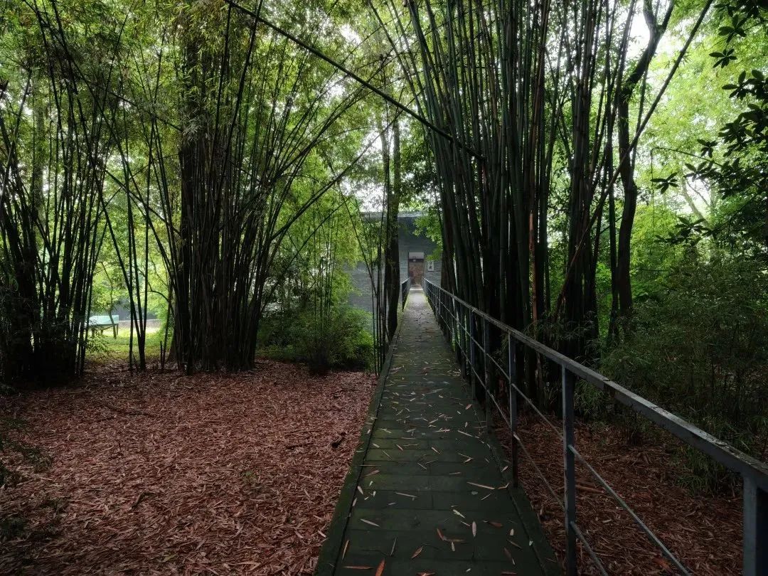 鹿野苑，经验与体验之间丨碎片笔记-58