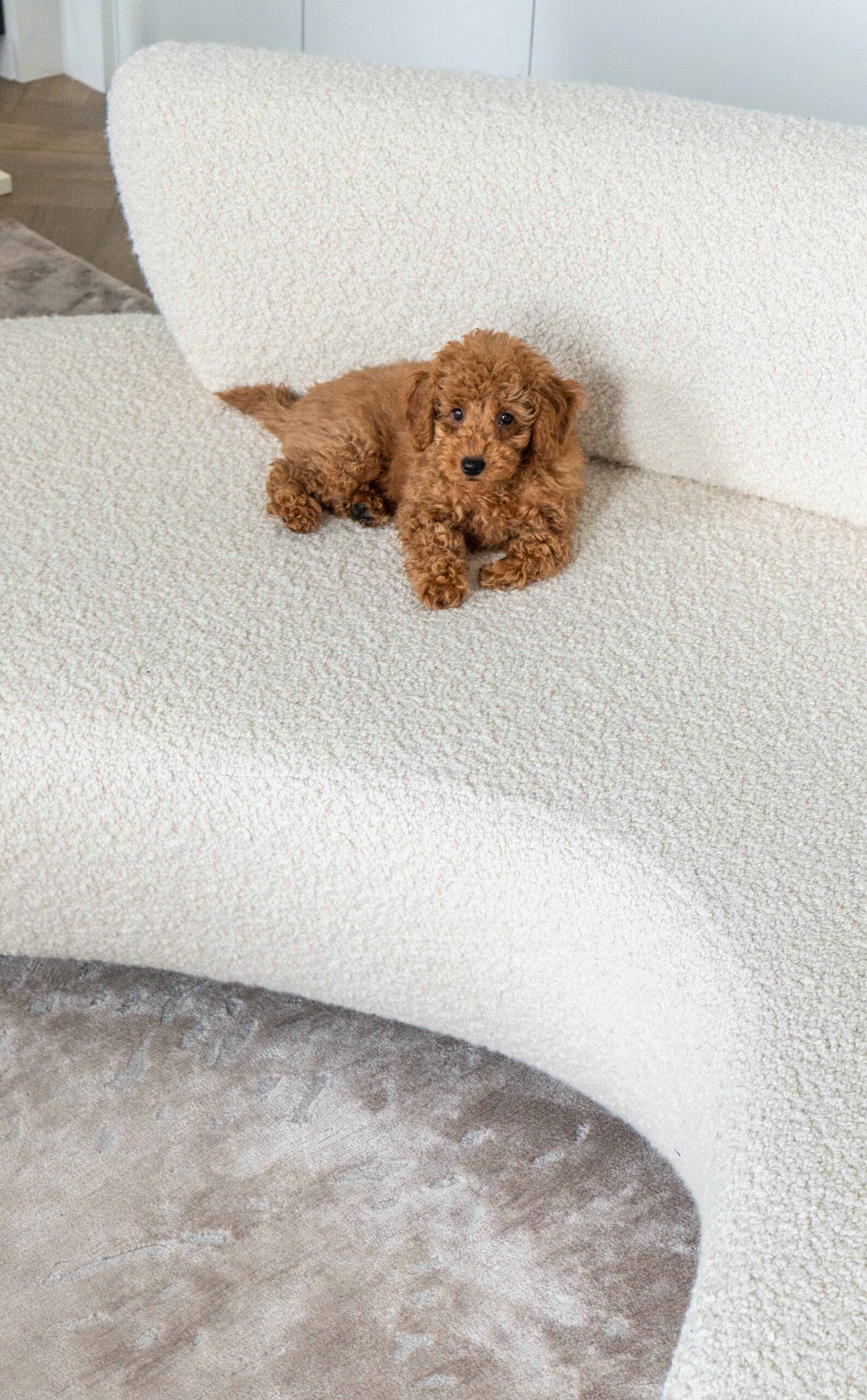 伦敦项目  奥尔加·埃什比设计丨英国伦敦丨奥尔加·埃什比（Ольга Эшби）-20