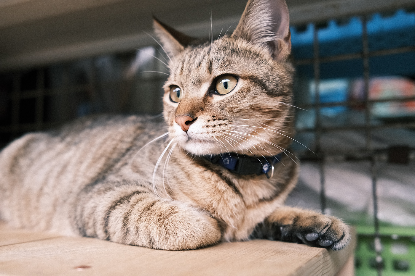 228 連假 - 南投-0