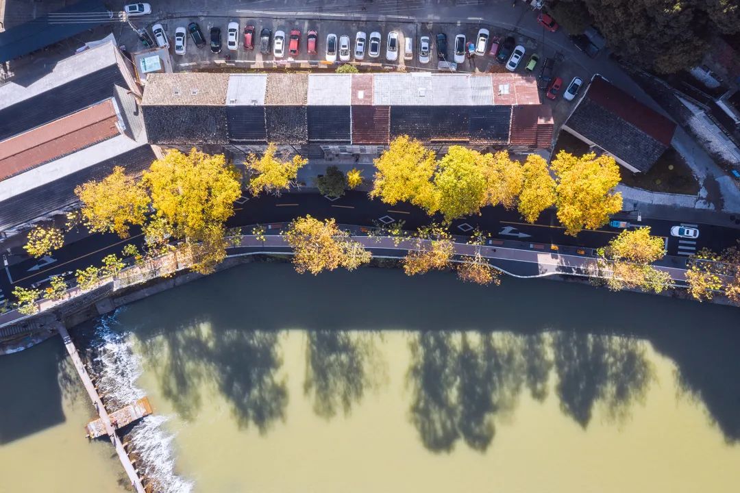 缙云老城溪滨南路有机更新丨中国丽水丨I Studio言吾建筑（浙建科院·许悦工作室）-25