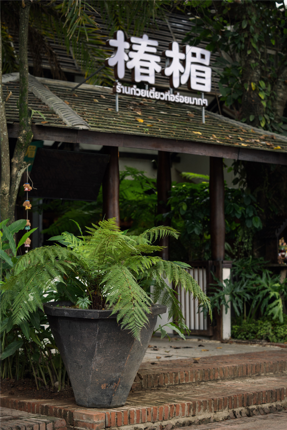 椿楣粉档丨中国西双版纳丨FUNS方糖空间设计顾问-5