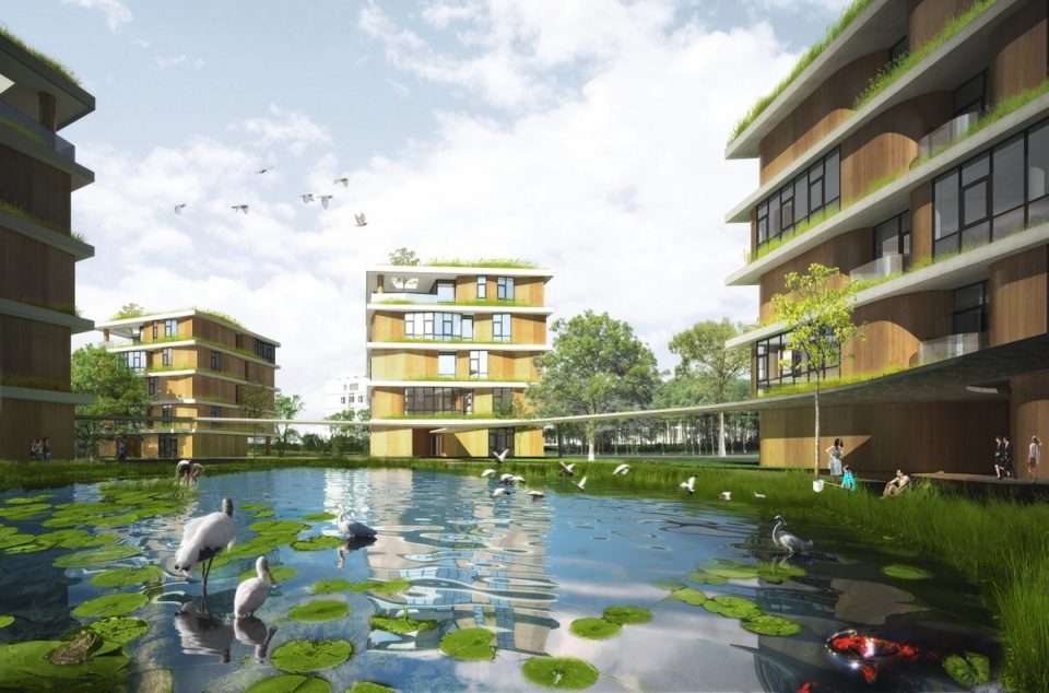 青浦平和双语学校 · 创新教育建筑的有机聚落-14