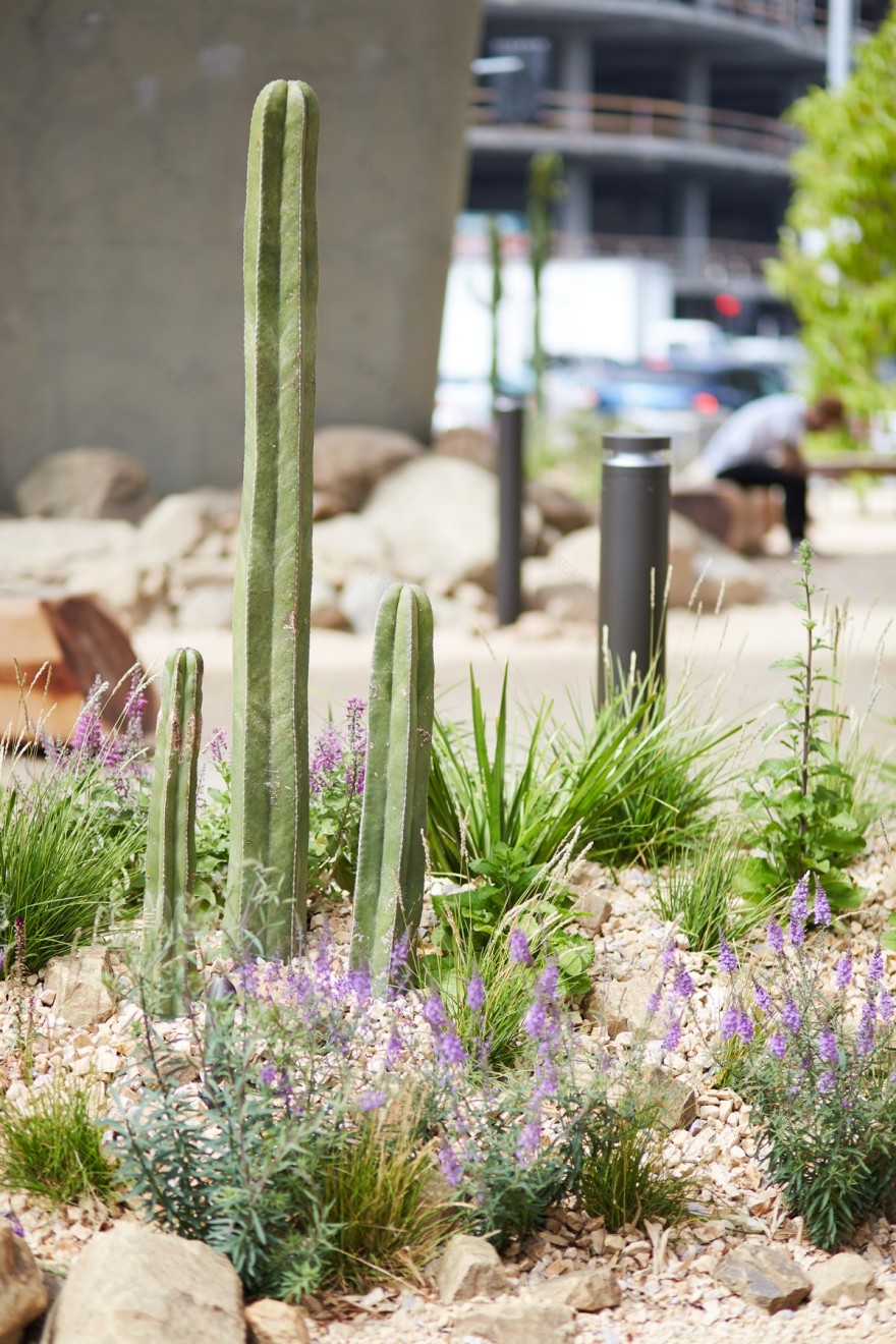 高架桥下的公共空间(Terremoto)丨美国华盛顿-20