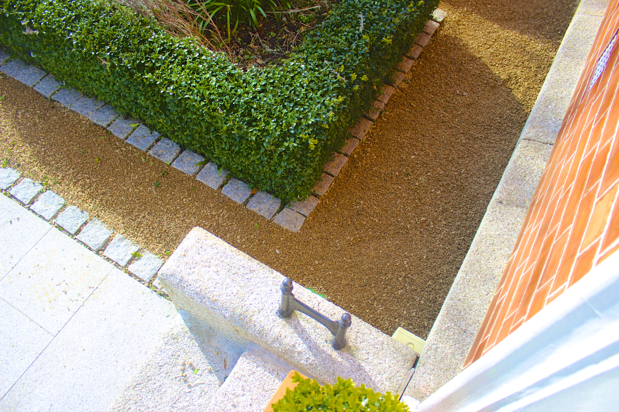 前花园花坛丨IrelandDublin-56