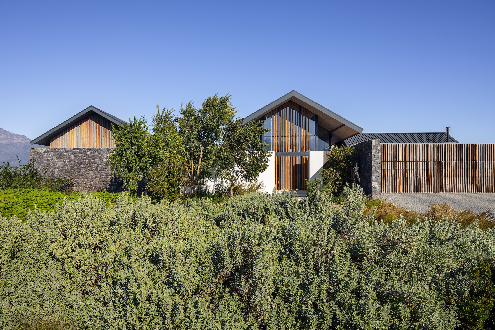 葡萄酒庄别墅丨南非开普敦丨ARRCC,SAOTA-27