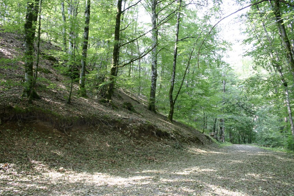 Flaujac  Espalion景观观察项目-51