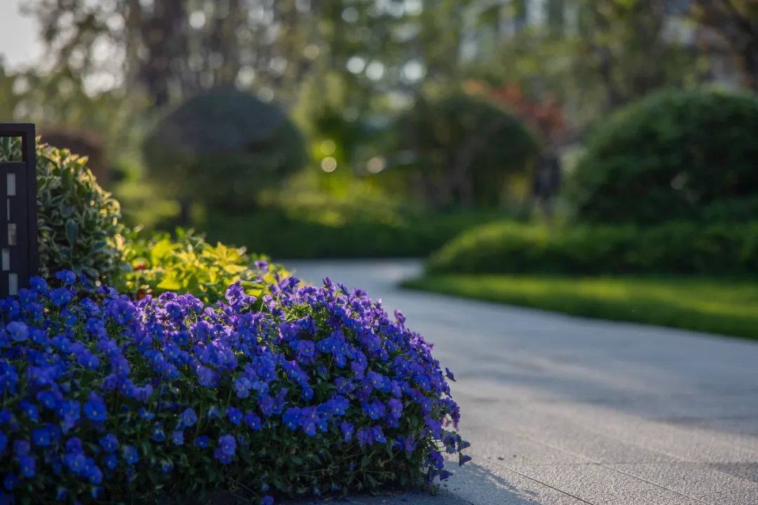 “ 光” 织水韵 | 城市喧嚣下的原乡栖居（大区）-78