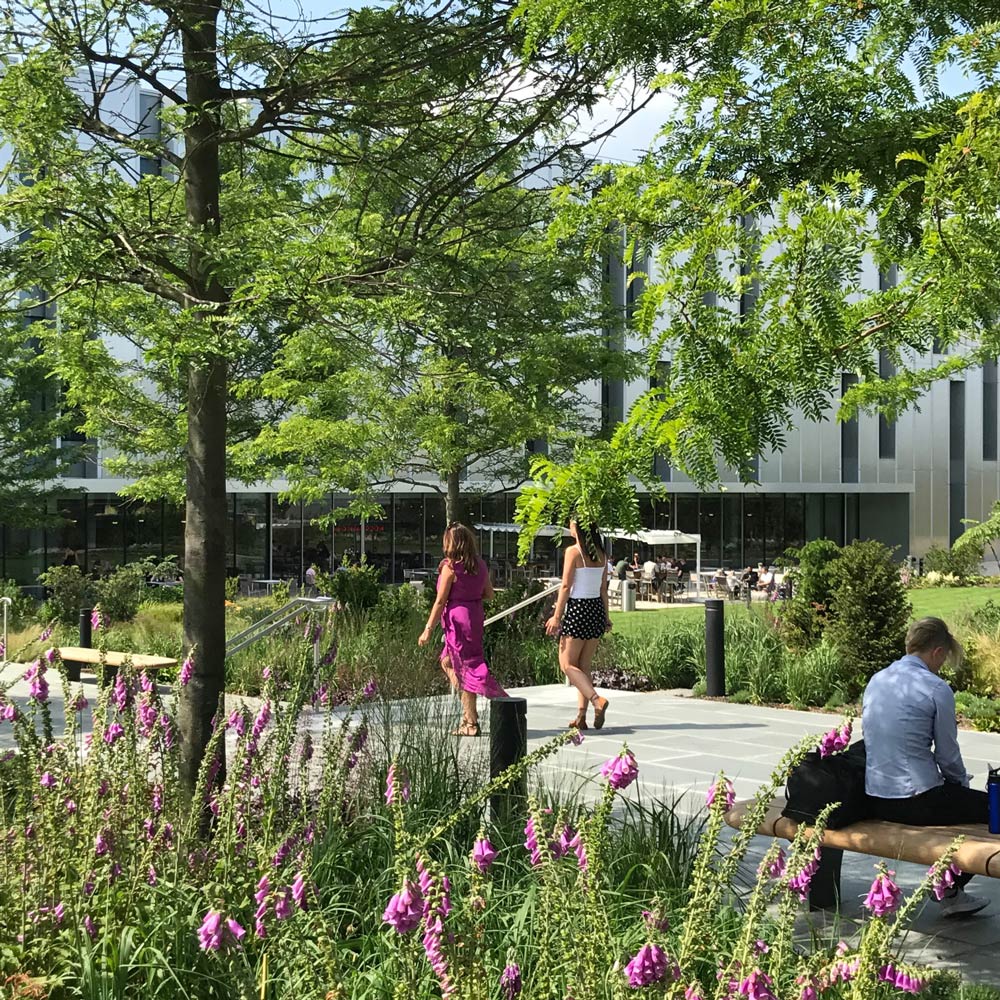 天空英国总部 | 绿色生态的办公环境-39