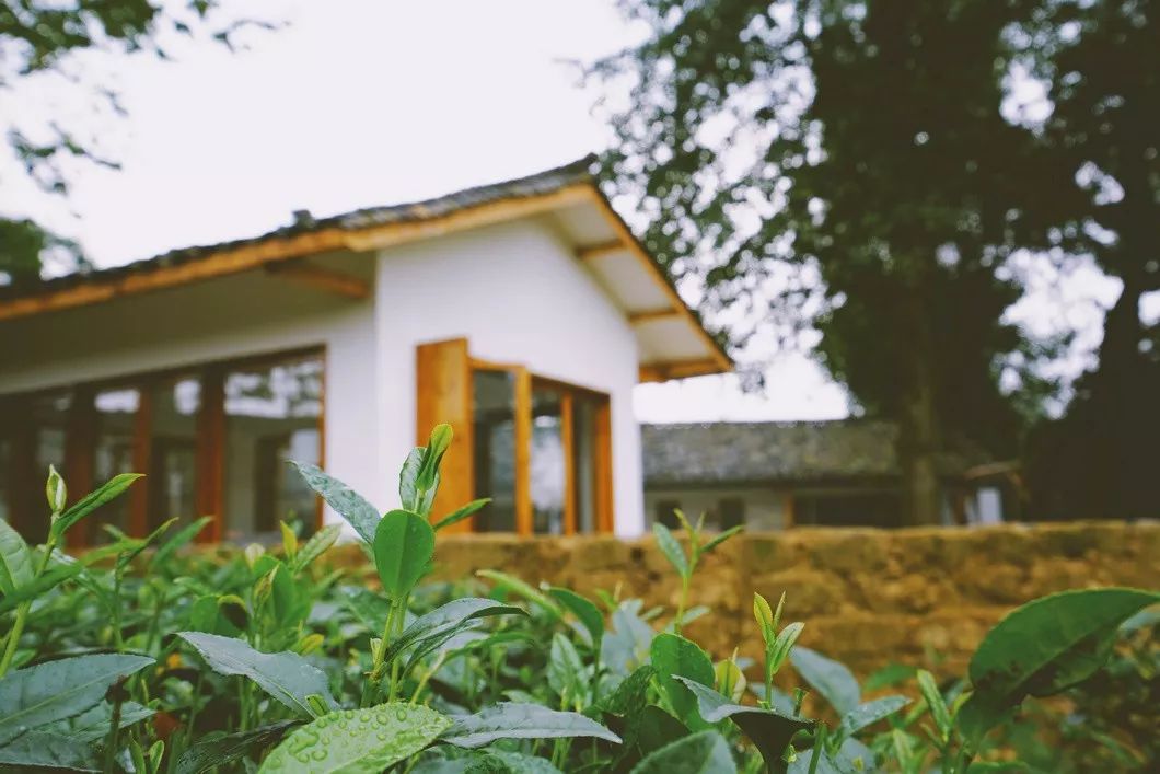 一座院子，度余生-3