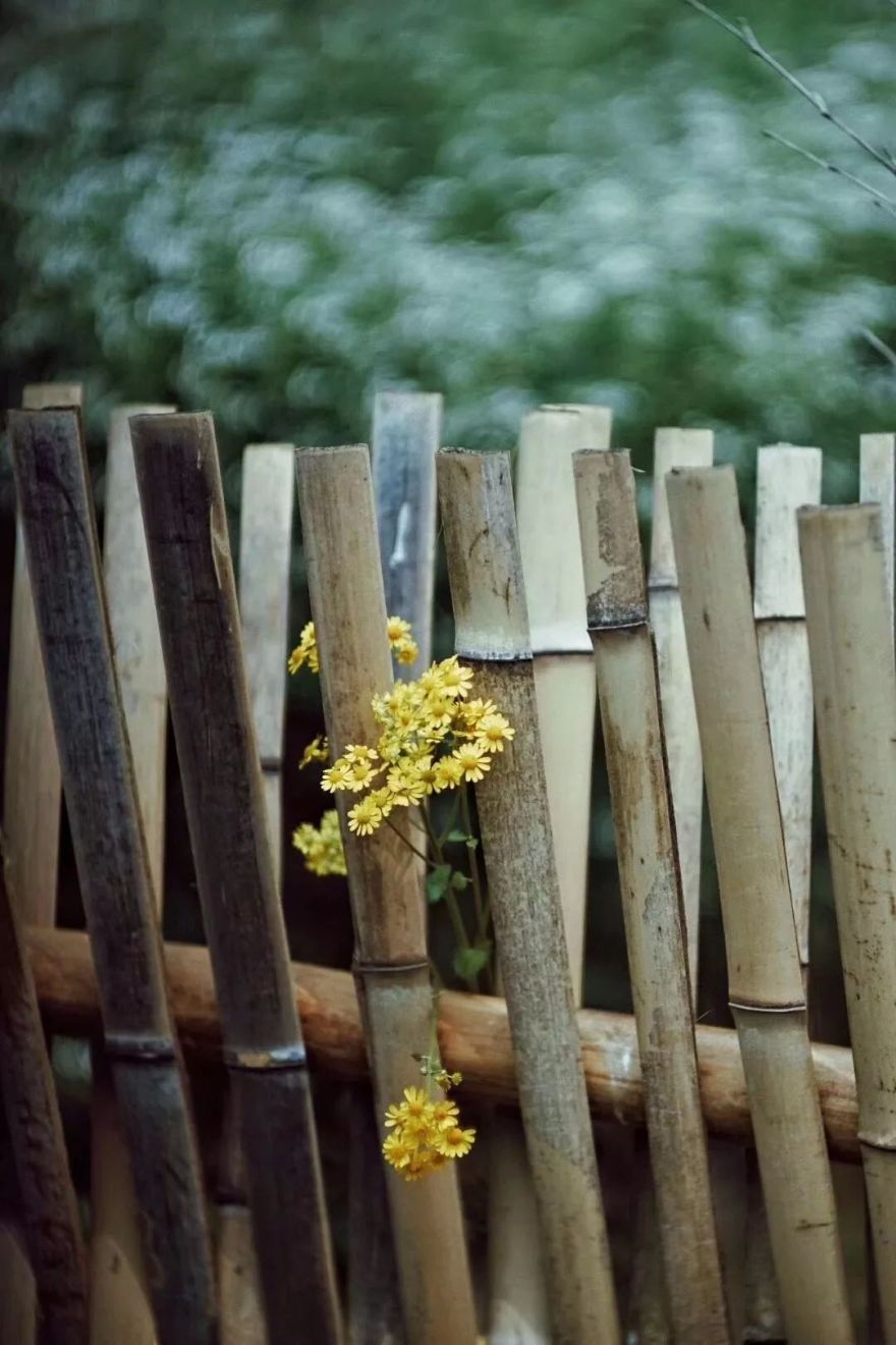 山居岁月 | 与自然共舞的生活美学-12