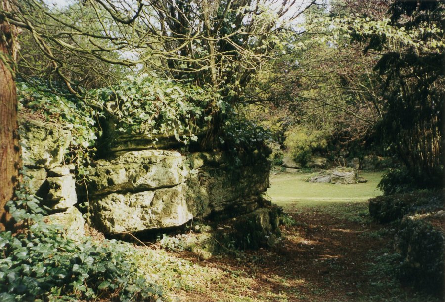 Westonbirt Manor花园及建筑改造项目丨英国格洛斯特-9