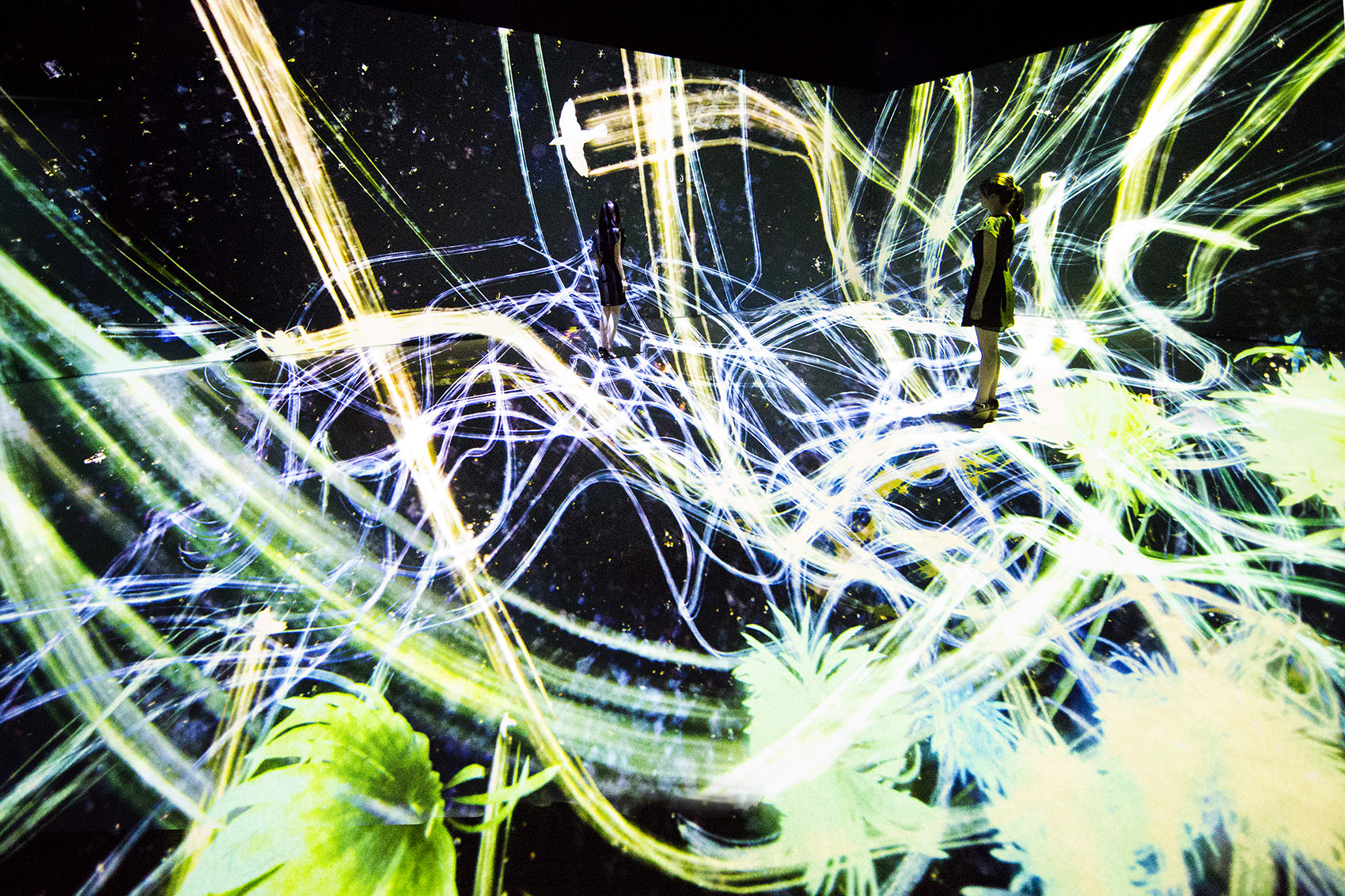 teamLab 2017 深圳北京大展：舞蹈吧，艺术！寓教于乐的未来游乐园！-143