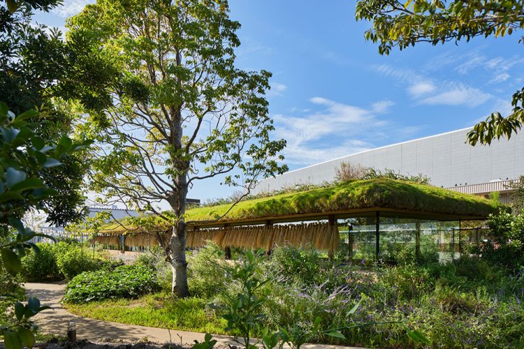 Laboratory Under The Crop Field-12