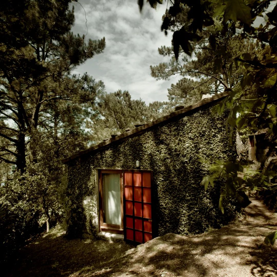 休斯·比列特丨比利时丨Huib Hoste-64