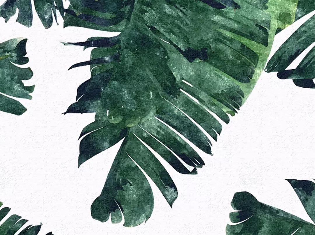 Verdancy-- --新绿-1