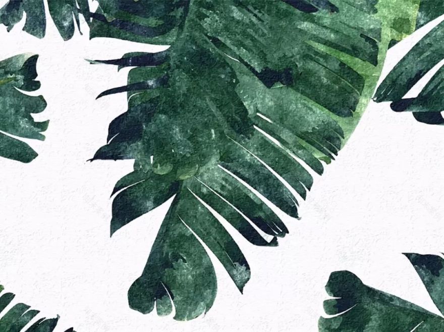 Verdancy-- --新绿-1