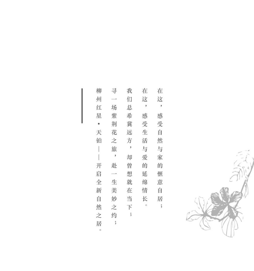 柳州红星·天铂-36