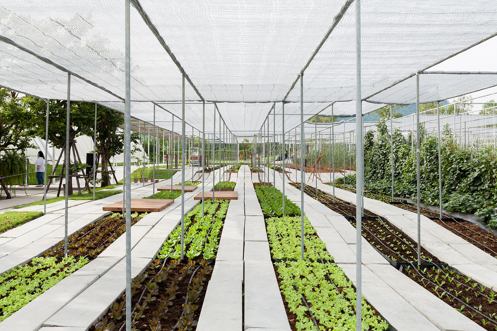 都市农场，泰国 / Integrated Field Co.,Ltd.-70