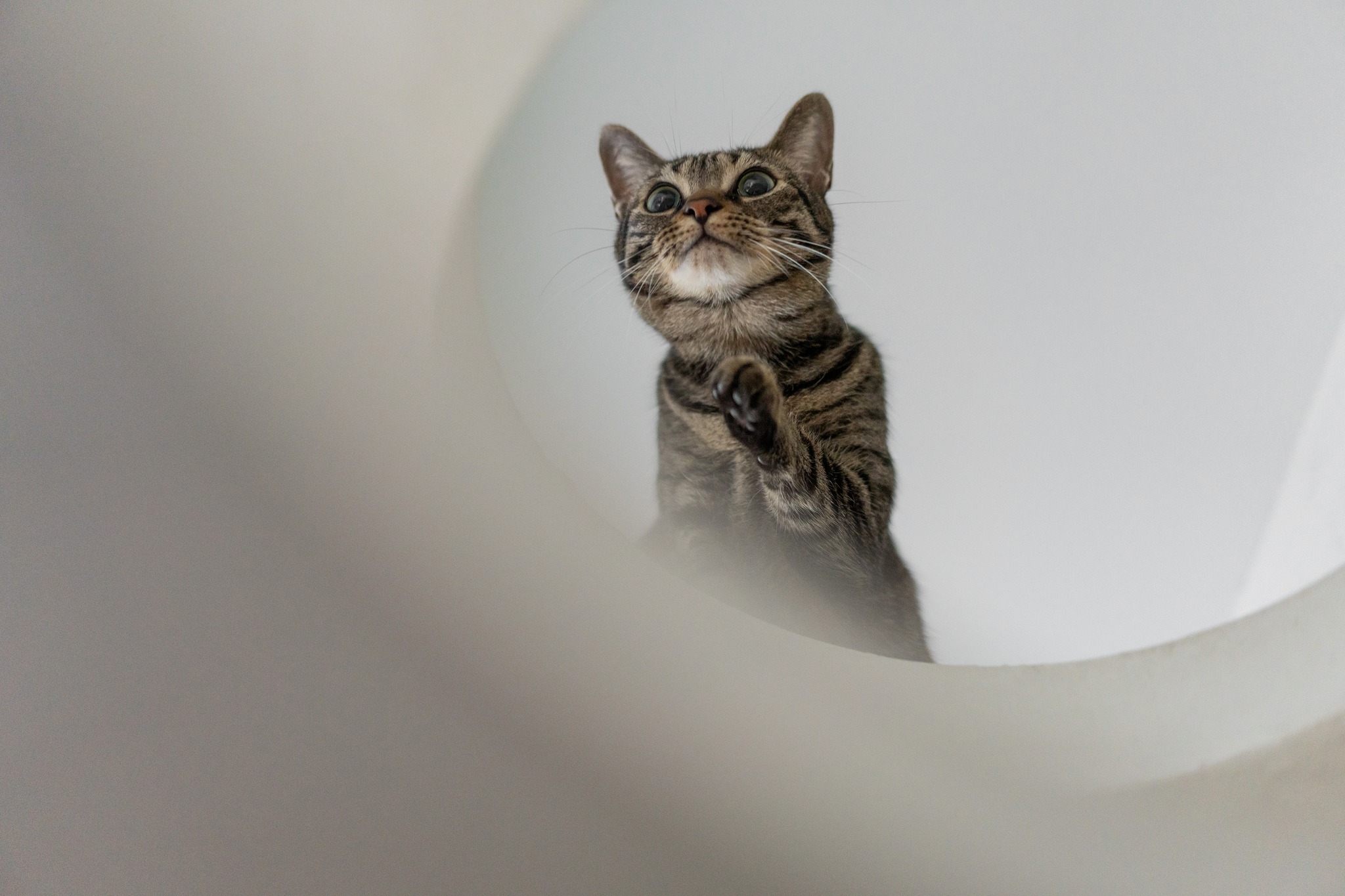 木介空间设计 | 极简的家-9