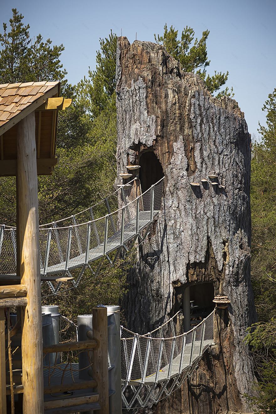 野性漫步 · 融入自然的高空步道设计-11