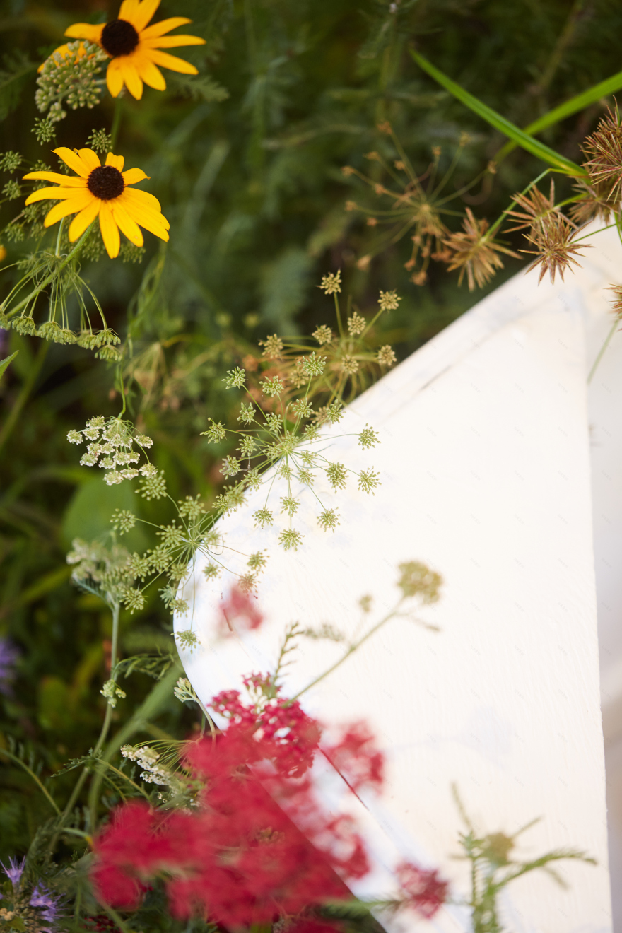 丨新西兰奥克兰丨Xanthe White Design-20