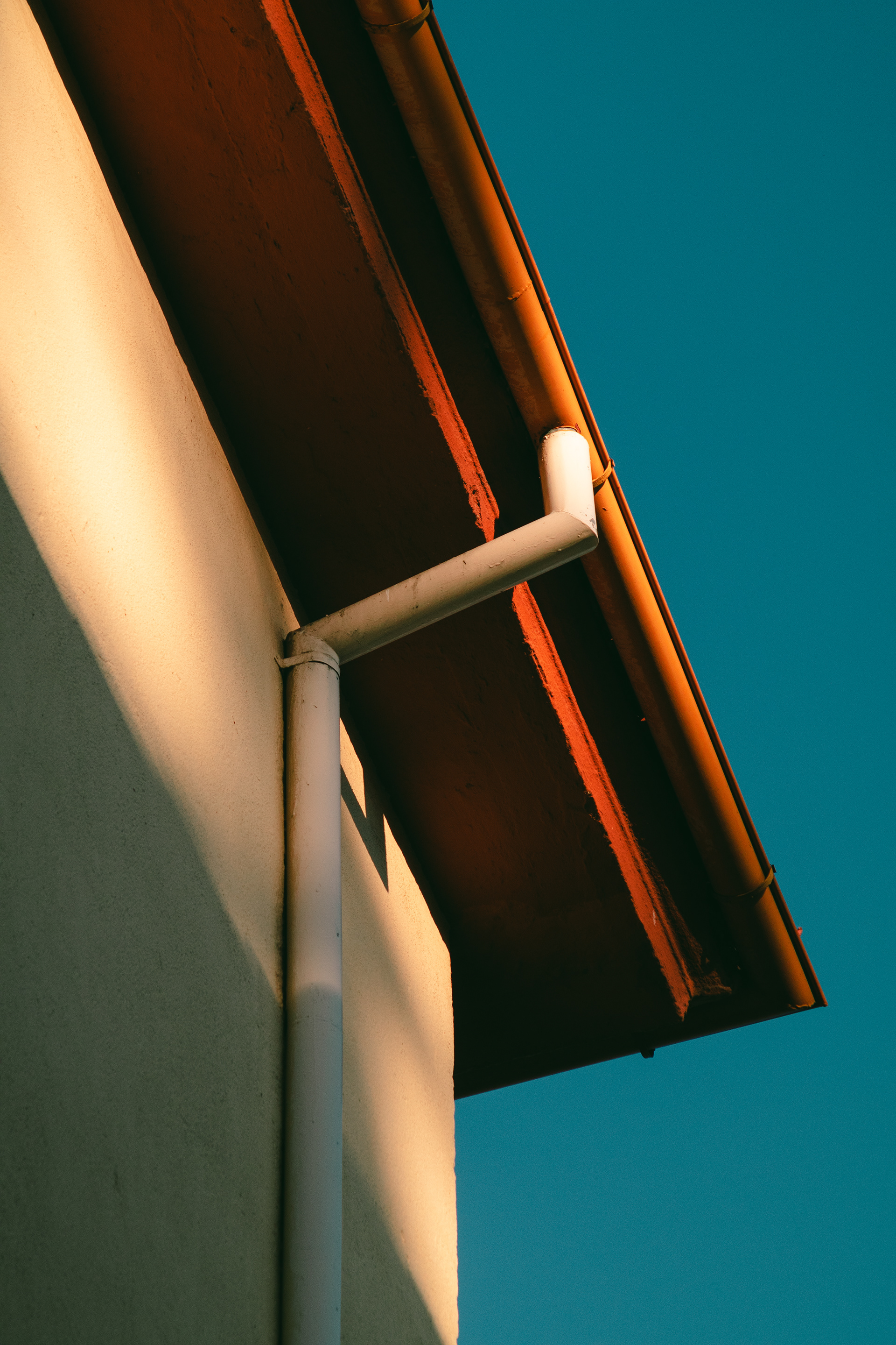 用 86 年的远摄镜头拍摄-5