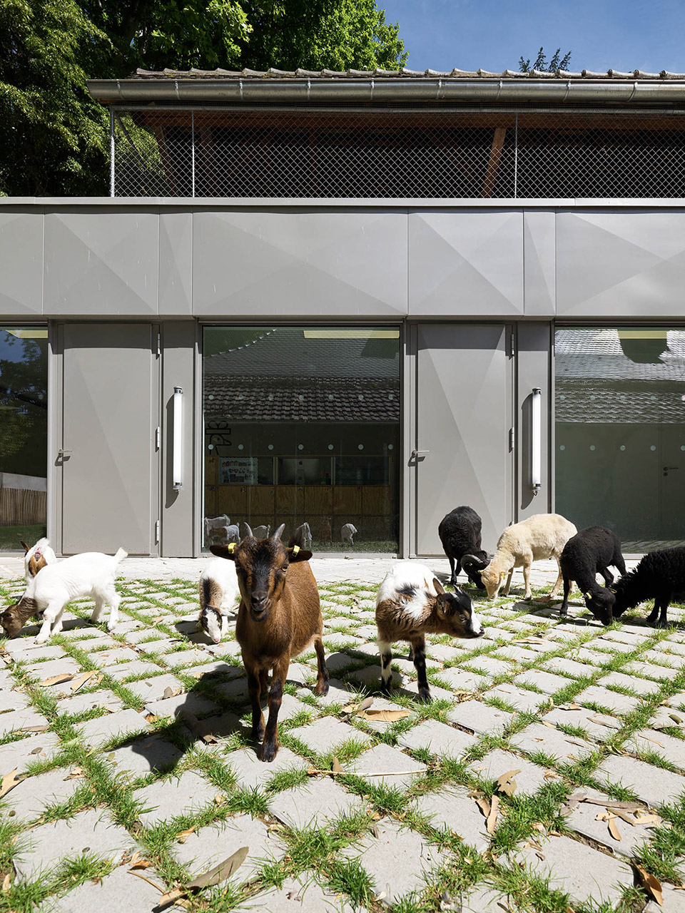 斯特拉斯堡动物园教学农场改造&游客中心，法国 / FREAKS-52