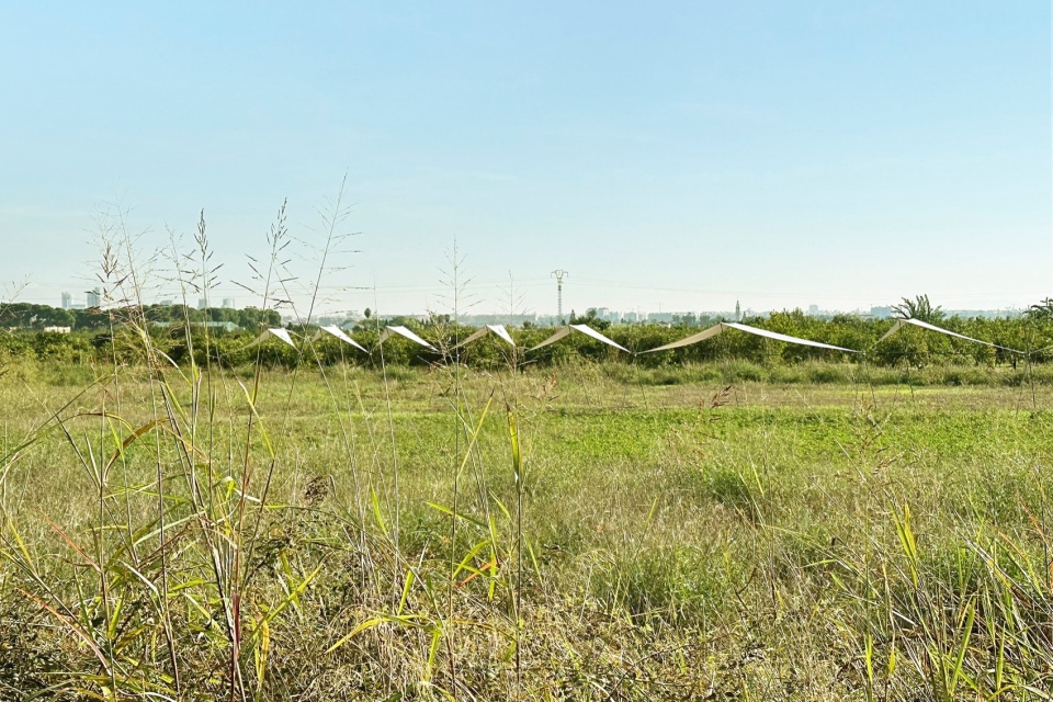 西班牙地平线展馆（Horizon Pavilion）丨厄瓜多尔丨Eletres Studio-63