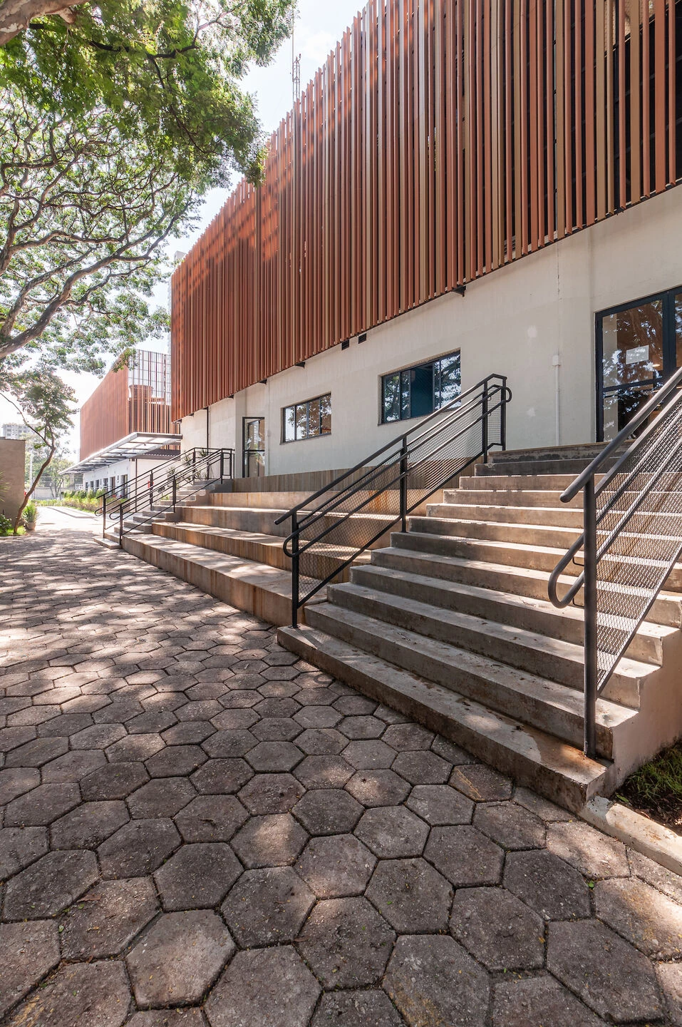 红房子学校 维拉-罗伯斯丨巴西圣保罗丨STUDIO DLUX-58