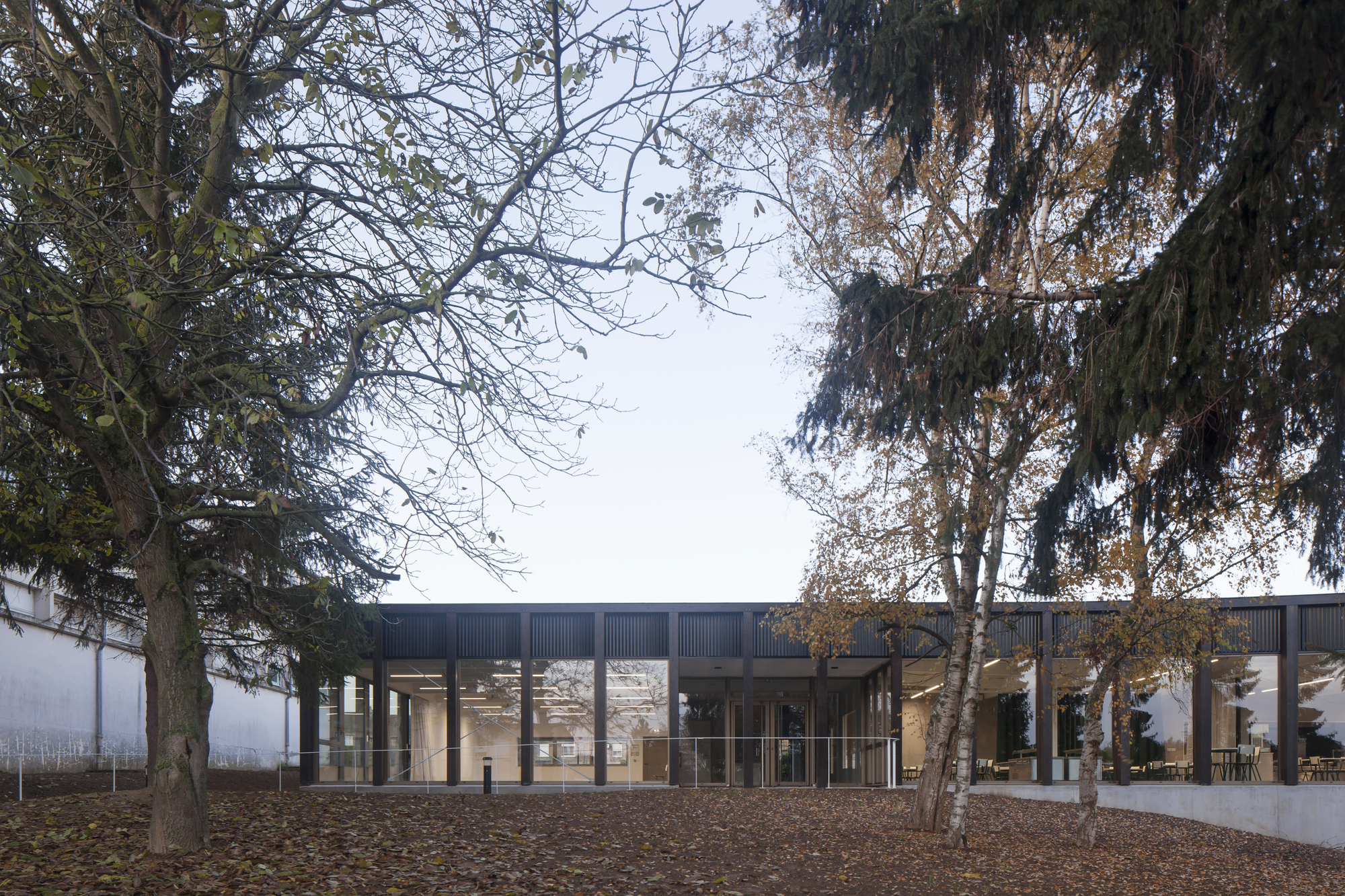 School Cafeteria and Multipurpose Room  / LT2A-20