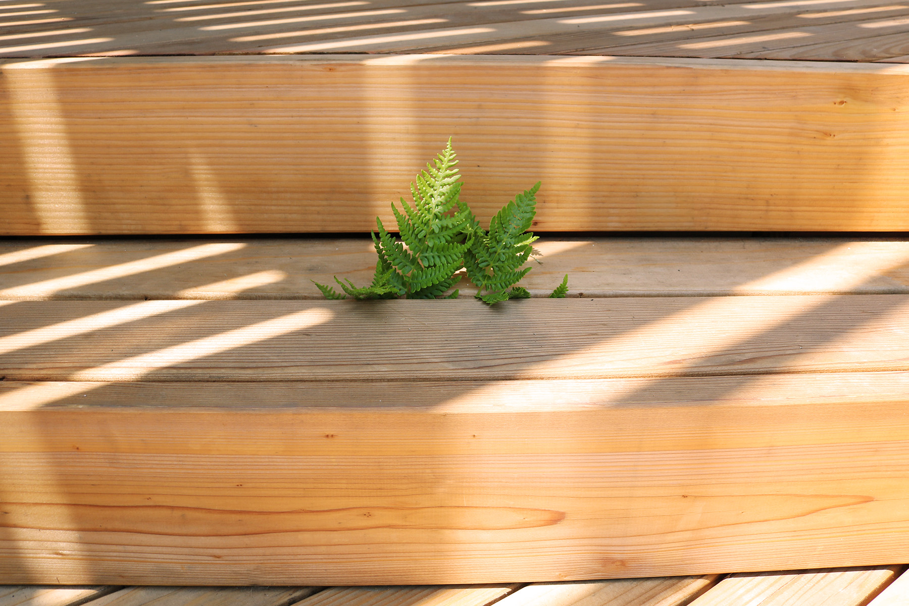 身边风景 | Soft Studio-84