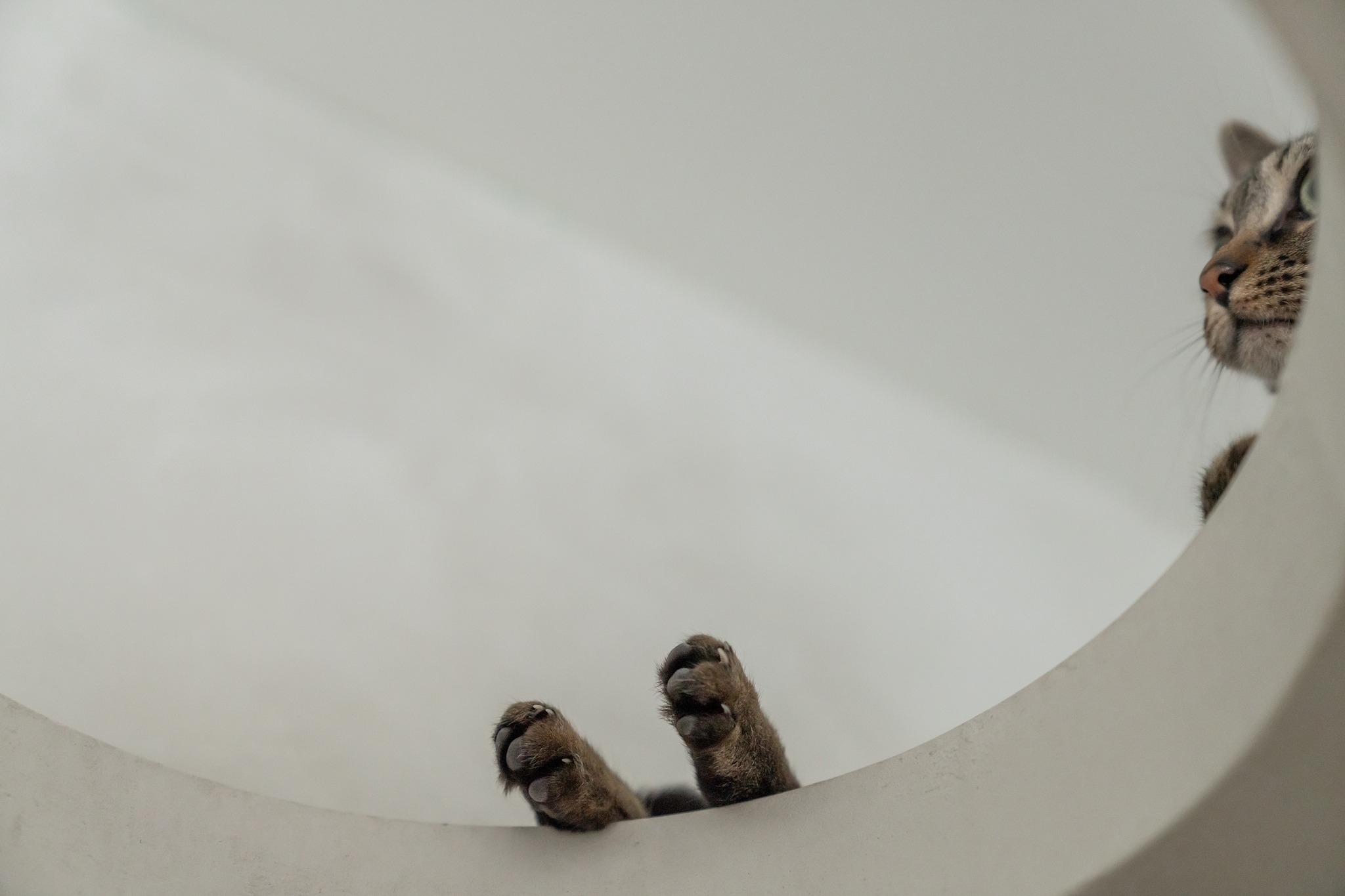 木介空间设计 | 极简的家-11