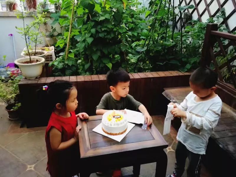 园艺生活，城市小菜园的诗意设计-29