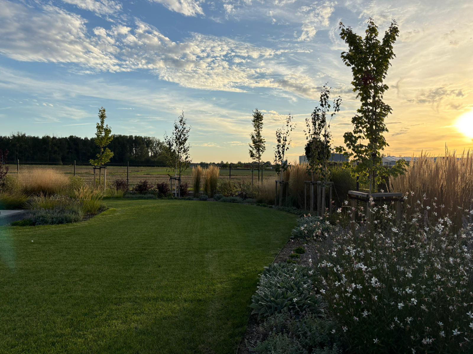 充满轻盈与和谐的花园设计-6